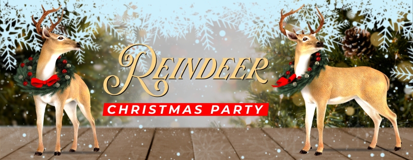 Wickedfun Reindeer Christmas Party Dress Up Outfit Golden Brown