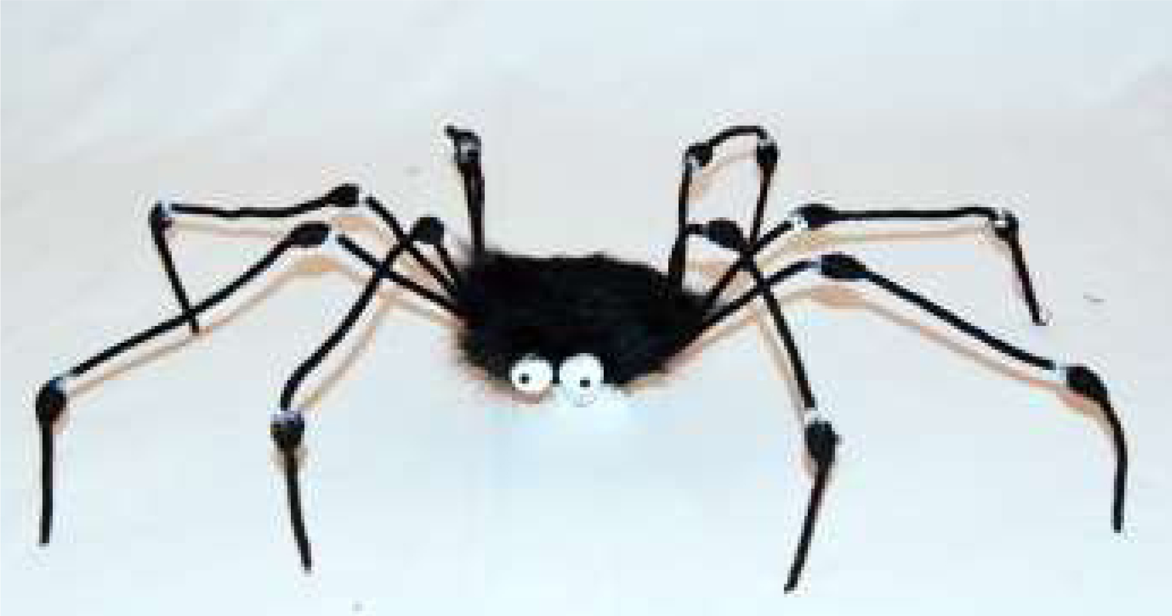 Fur Spider