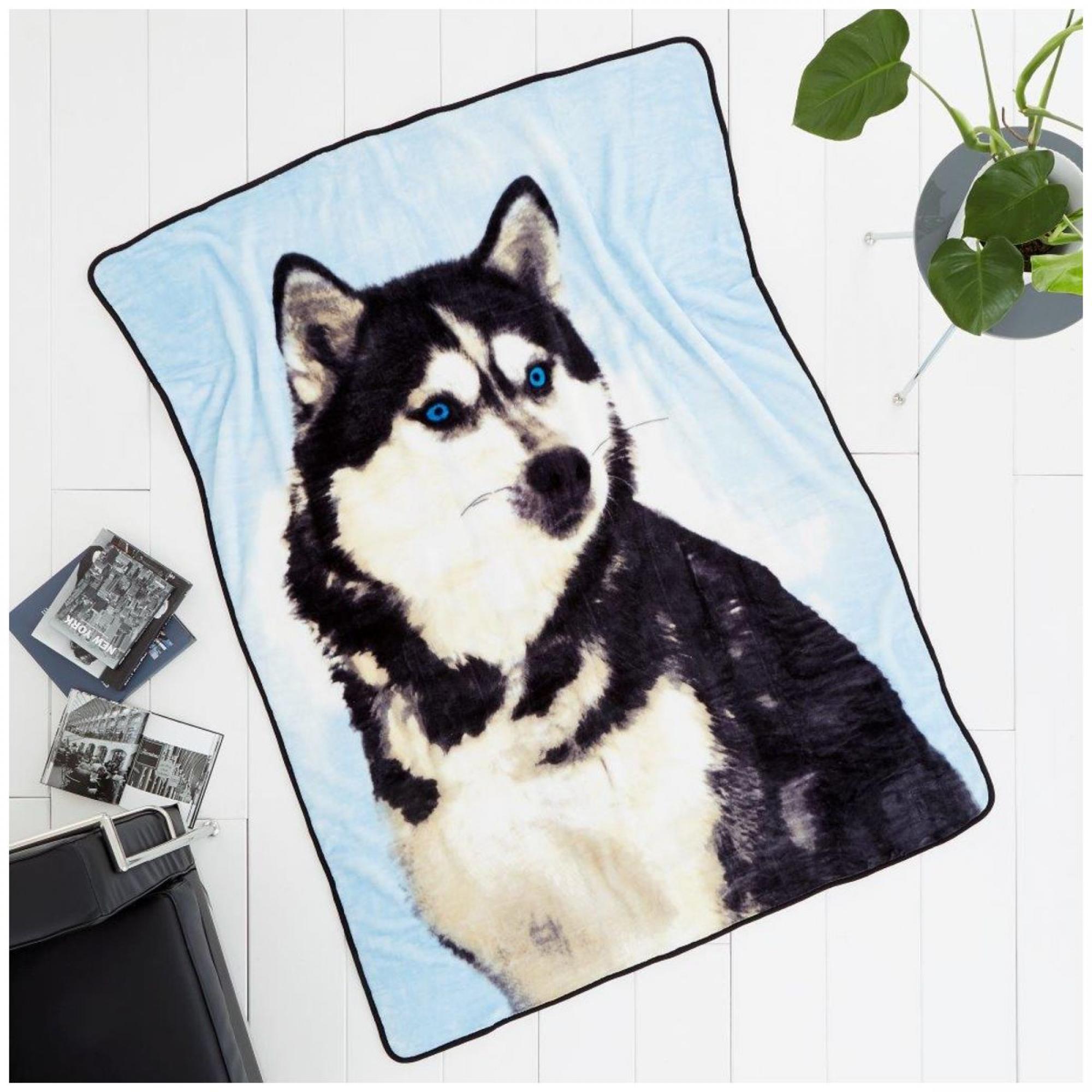 3d Throw Husky