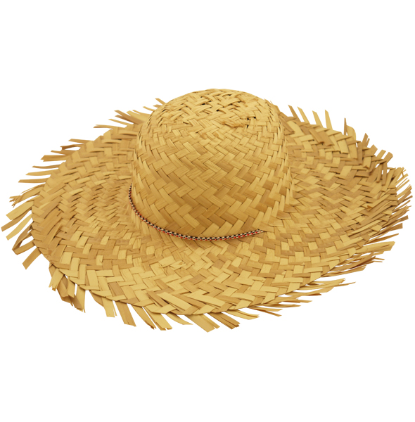 Adult Hat Straw Beachcomber