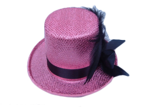 Wickedfun Pink Fascinator Hat with Two Clips