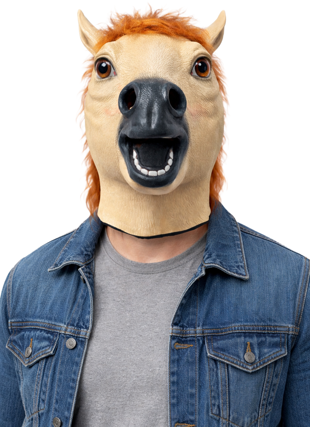 Horse Mask