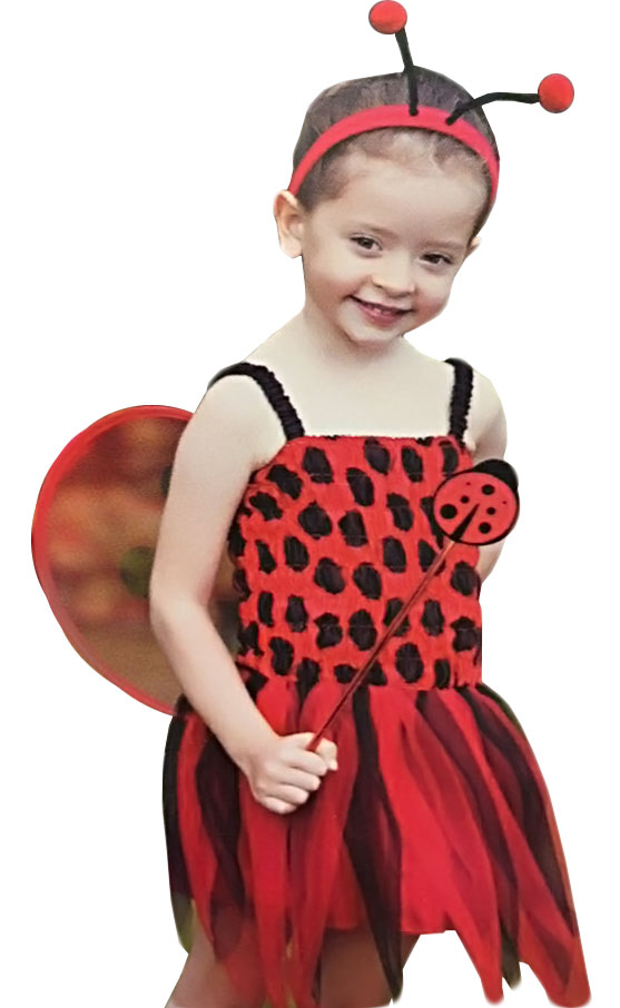 Wickedfun LadyBird Toddler Costume