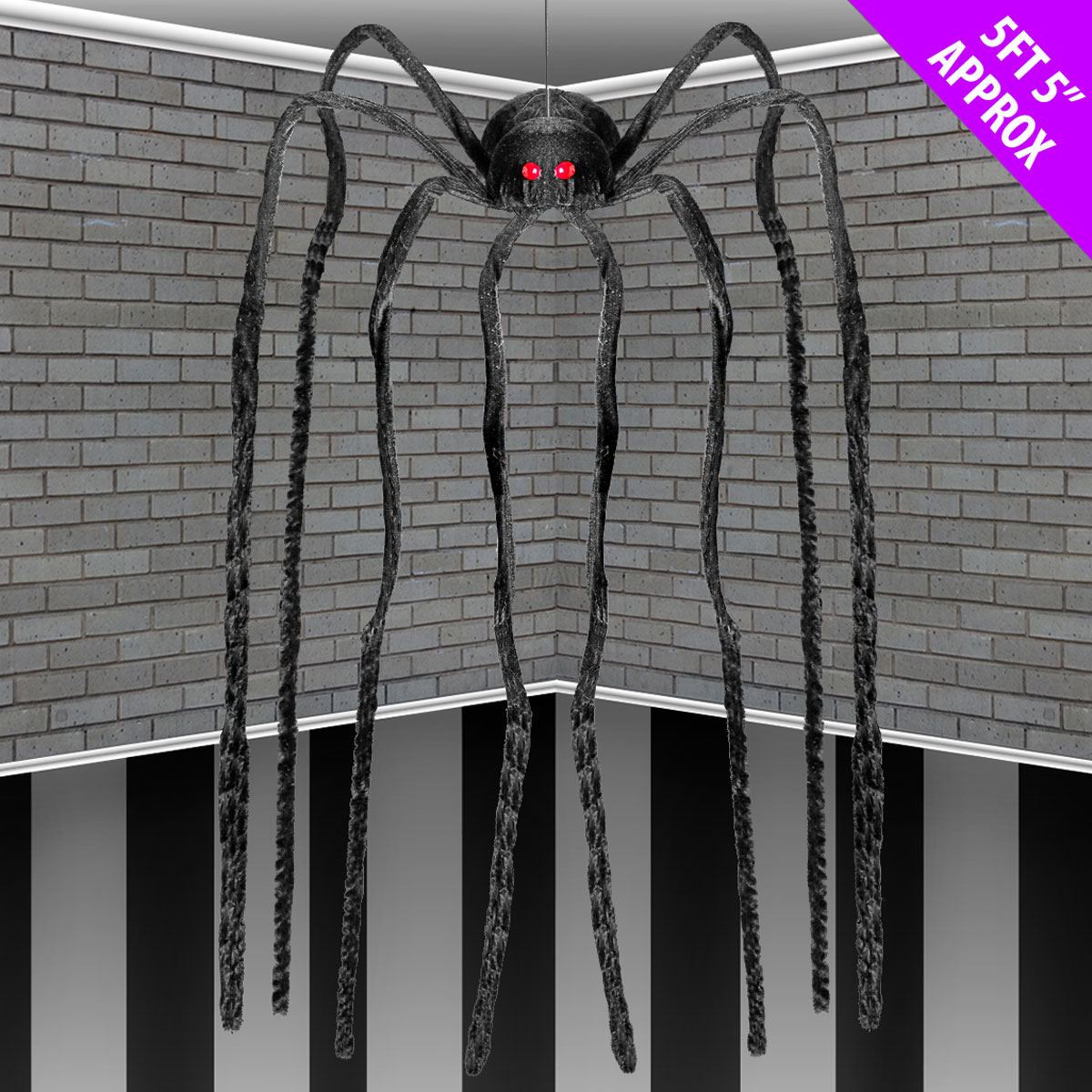 Long Legged Spider