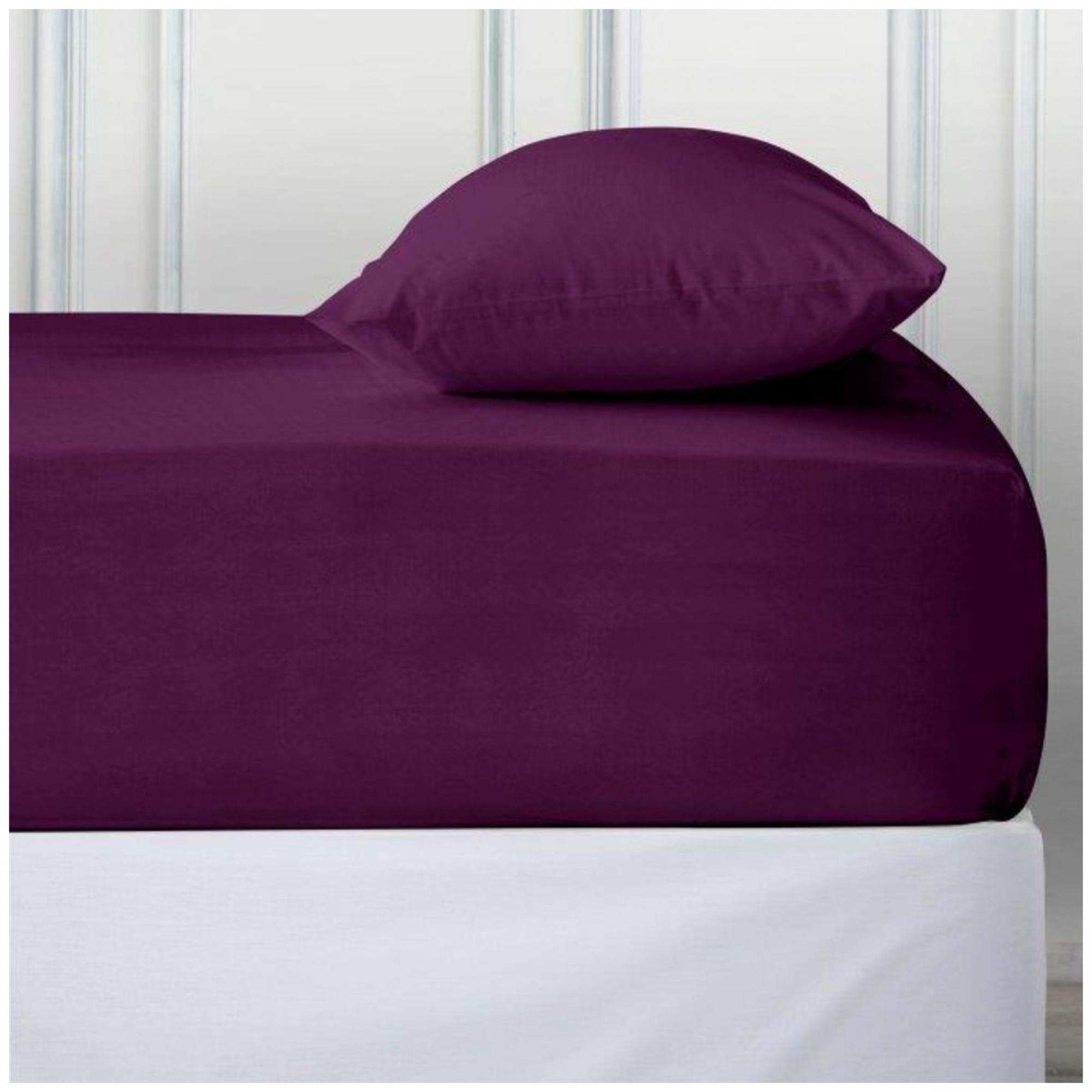 PERCALE DEEP FTD SHEET BERRY