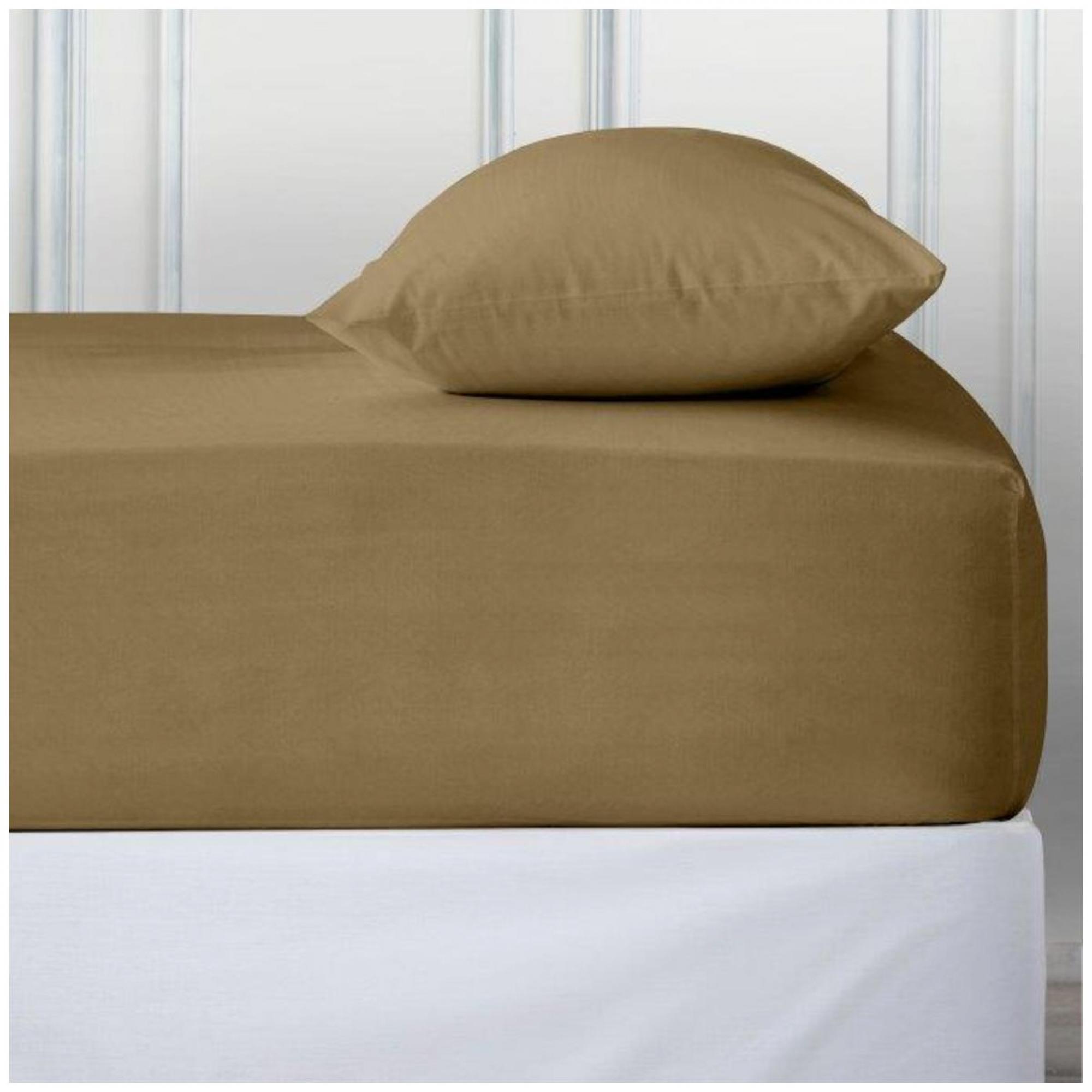 PERCALE DEEP FTD SHEET MOCHA