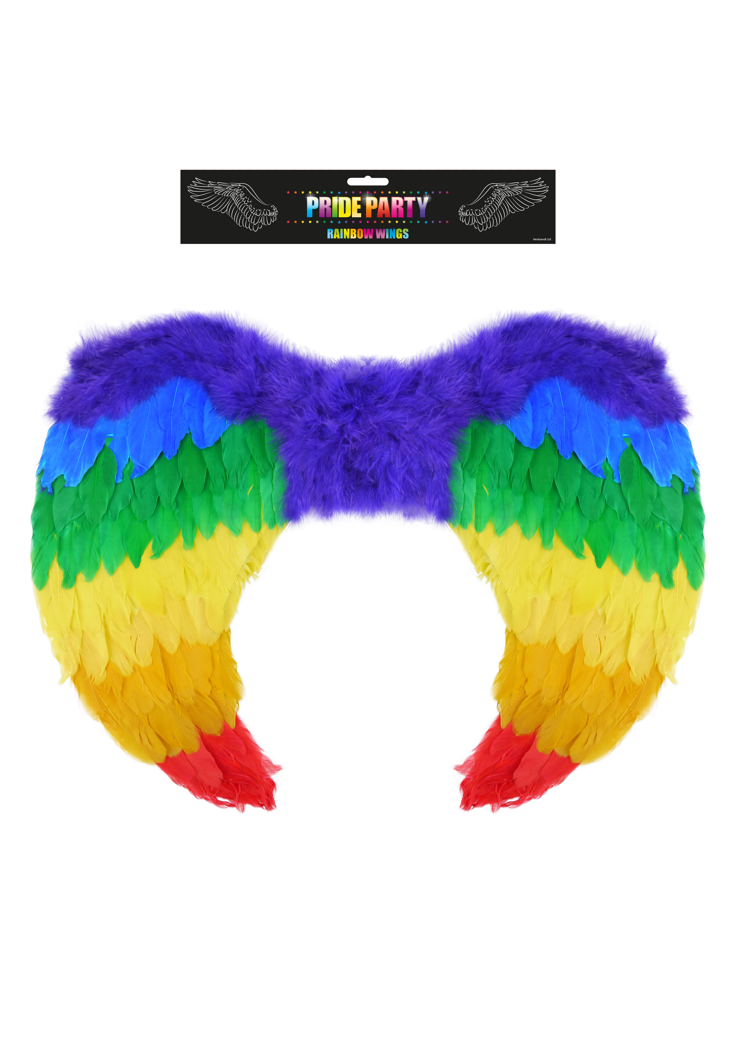 Rainbow Foldable Angel Wings Medium (60 x 40 cm)