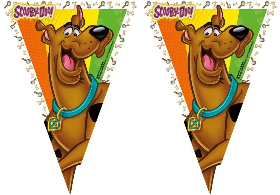 Scooby Doo Plastic Flag Banner