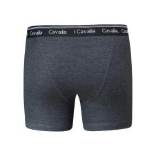 Active Star Mens BNG colour Boxer shorts (3pcs pack)