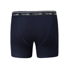 Active Star Mens BNG colour Boxer shorts (3pcs pack)