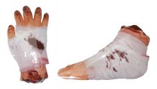Body Parts 2 Assorted