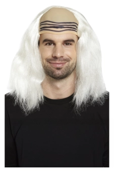 Crazy Scientist Wig 130g