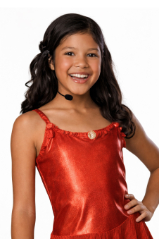 Deluxe Gabriella Costume