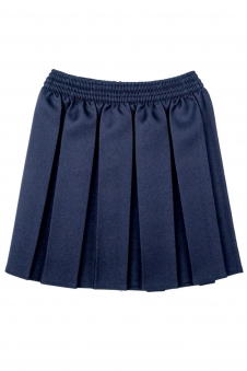 Girls Navy Elastic Waist Pleated School Uniform Skirt