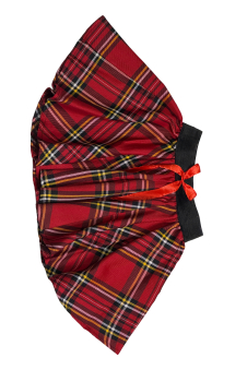 Crazy Chick Girls Tartan Skirt Red