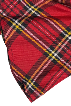 Crazy Chick Girls Tartan Skirt Red