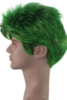 HPO Adult Beast Cosplay Wig