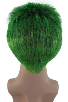 HPO Adult Beast Cosplay Wig