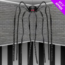 Long Legged Spider