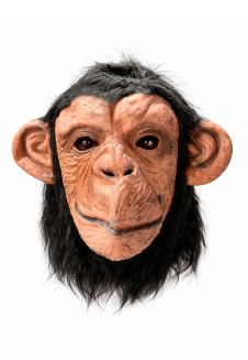 Monkey Mask
