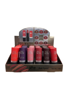 Professional Matte Lipstick Collection Box C - Tray of 24 Pcs (Price Per Lipstick)