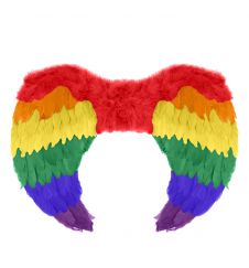 Rainbow Foldable Angel Feather Wings Small (55 x 40 cm)