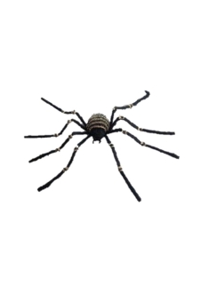 Spider Stripe 120cm