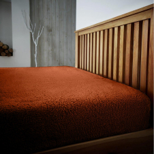 Teddy Plain Fitted Sheet