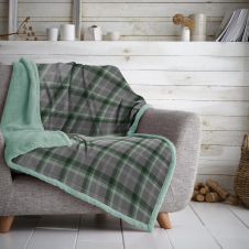 Teddy Throw Lincoln Check