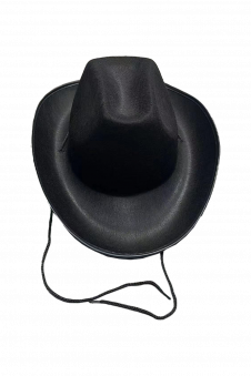 Wickedfun Adult Black Cowboy Hat