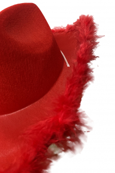 Wickedfun Adult Red Cowboy Hat With Feather Trim
