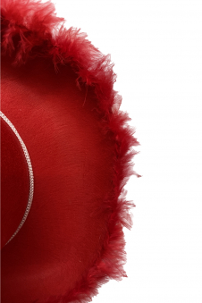 Wickedfun Adult Red Cowboy Hat With Feather Trim