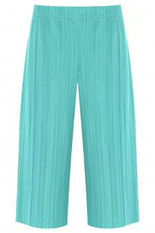Women Mint Plus Size Pleated Elasticated Culottes