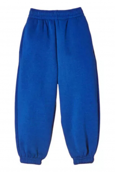 Womens Royal Blue Fleece Warm Joggers Tracksuit Pants