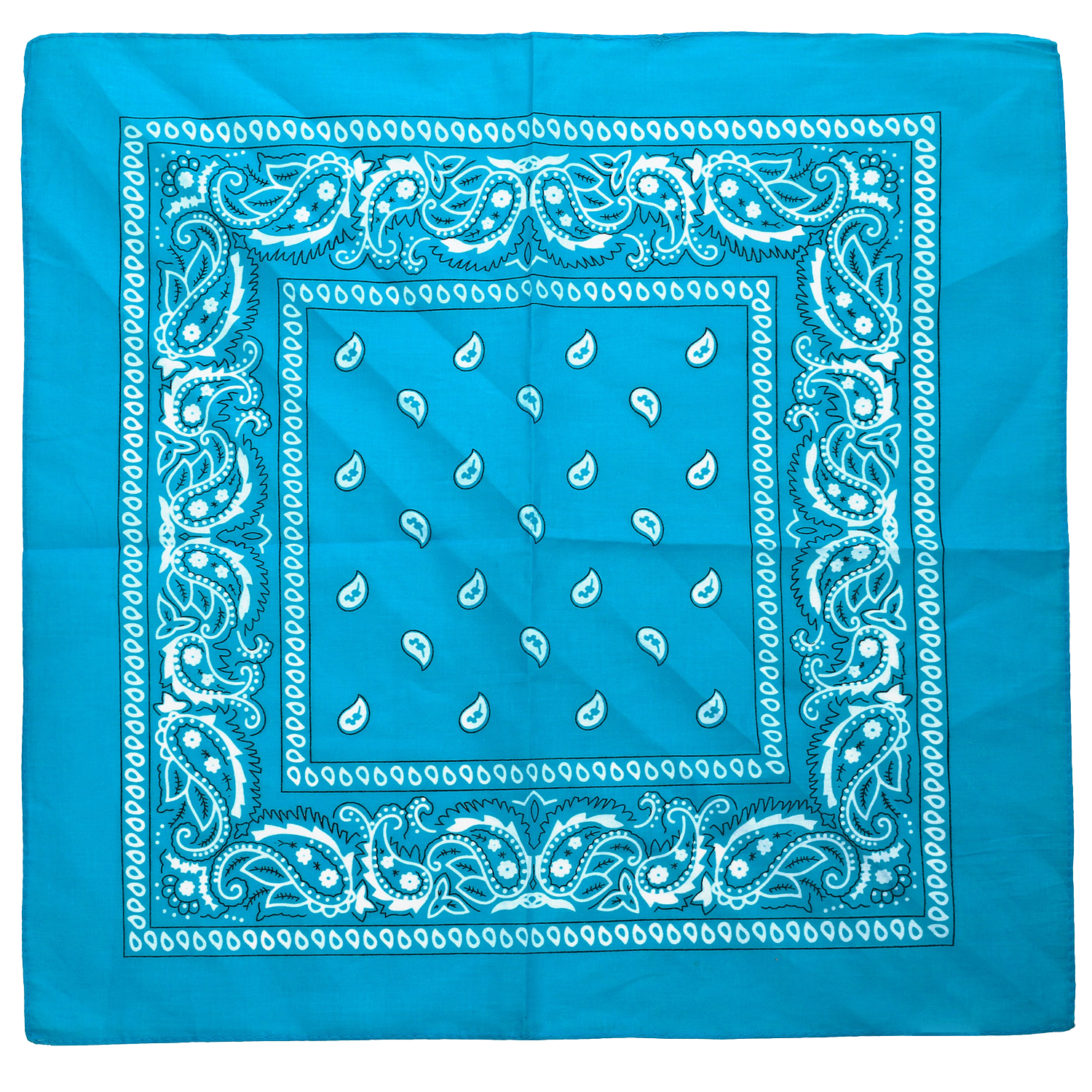 Turquoise Paisley Bandana 