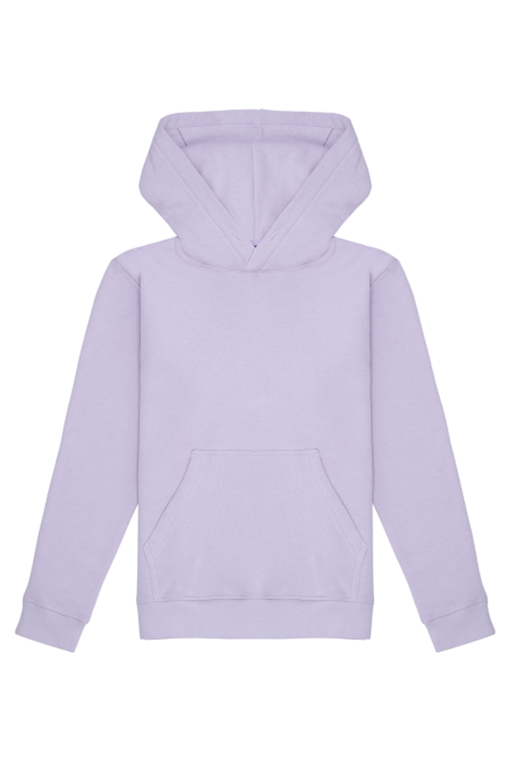 Unisex Plain Hoodie Purple