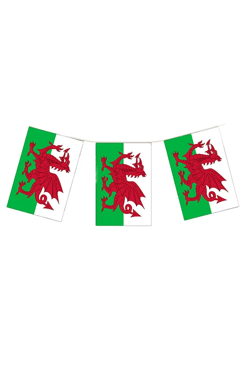 Wales Flag Bunting 10m (20 Flags)