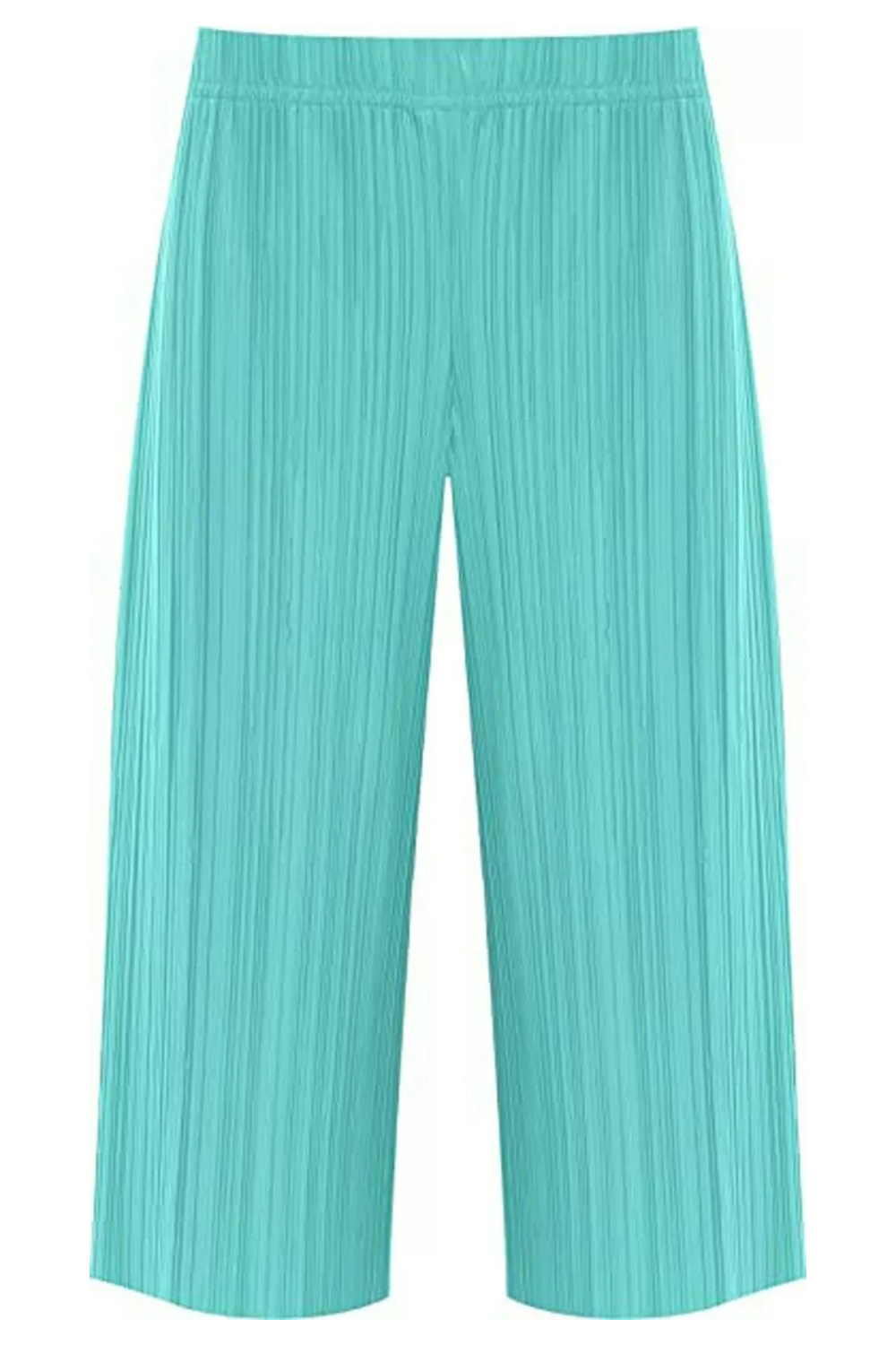Women Mint Plus Size Pleated Elasticated Culottes